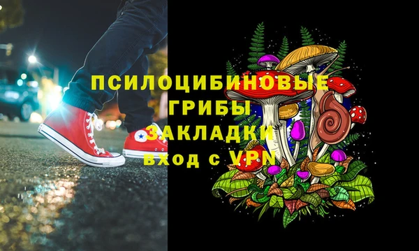 МДПВ Алексин