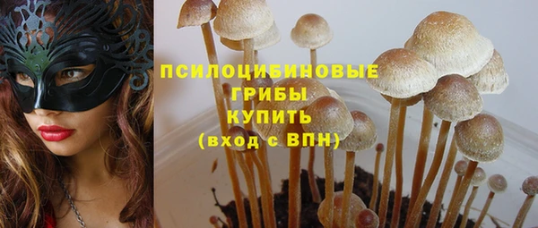 МДПВ Алексин