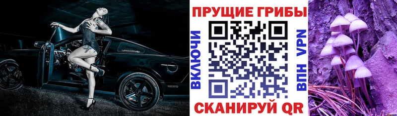 Псилоцибиновые грибы прущие грибы  купить наркотик  Лихославль 